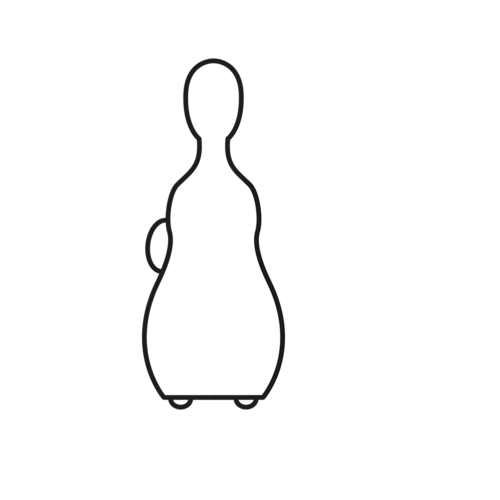 Funda Cello 